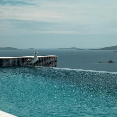 Blue Horizon Seget